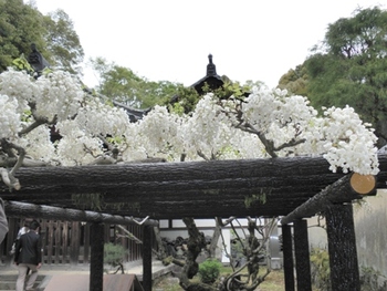 京都・奈良