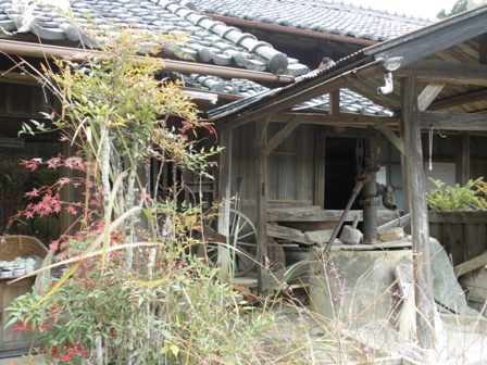 蕎麦道楽百古里庵