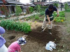 おひざくらぶのみんなとじゃがいも掘り♪