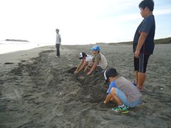 アカウミガメ放流会