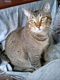 まだこねこ。 2012/05/04 23:25:00
