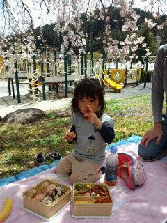 おはなみ