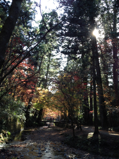 小国神社