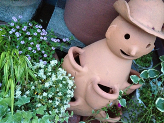 モコカフェ入口若草さんのお花たち~