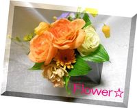 写真☆