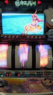 ビキニパイ写メ集