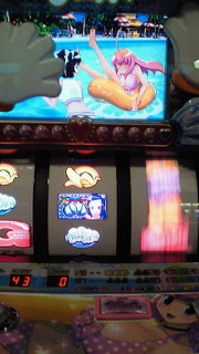 ビキニパイ写メ集