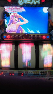 ビキニパイ写メ集