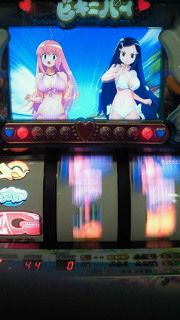 ビキニパイ写メ集