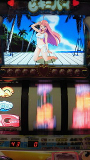 ビキニパイ写メ集