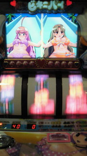 ビキニパイ写メ集