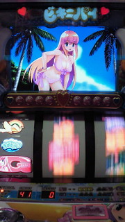 ビキニパイ写メ集