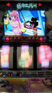 ビキニパイ写メ集