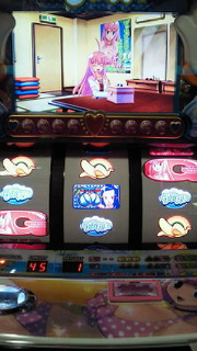 ビキニパイ写メ集