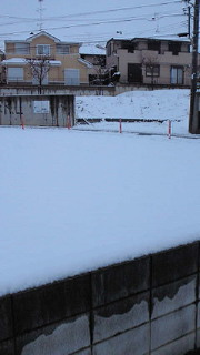 昨日の相場とさいとうあつし大先生