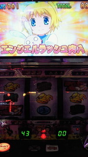 ツインエンジェル3写メ集