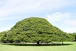 今朝の急変
