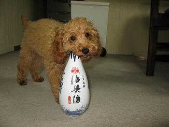 じぃちゃんとパーティー
