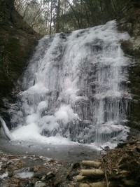 森の絶景『タイラ沢の滝』