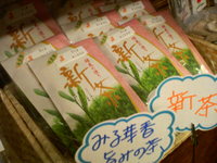 森の新茶入荷