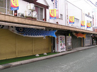 町を泳ぐ鯉