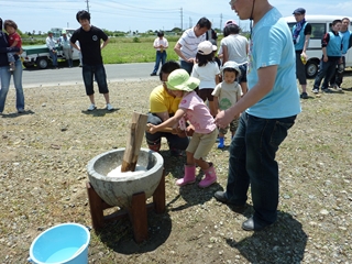 ひまわりの種まき2回目