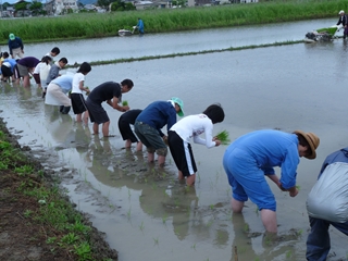 泥んこの体験講座「田植え」