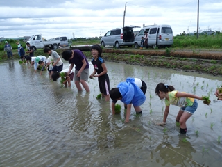泥んこの体験講座「田植え」