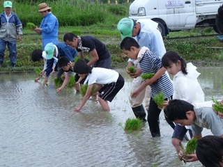 泥んこの体験講座「田植え」