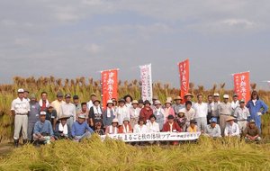 稲刈りツアー