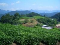 絶景！田峰観音！！