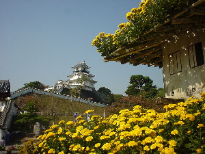 菊と城」