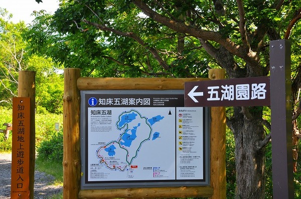 北海道の旅⑰　知床五湖