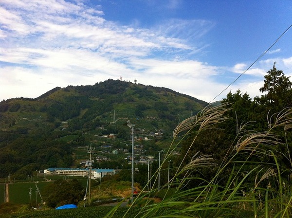 粟ケ岳とススキ