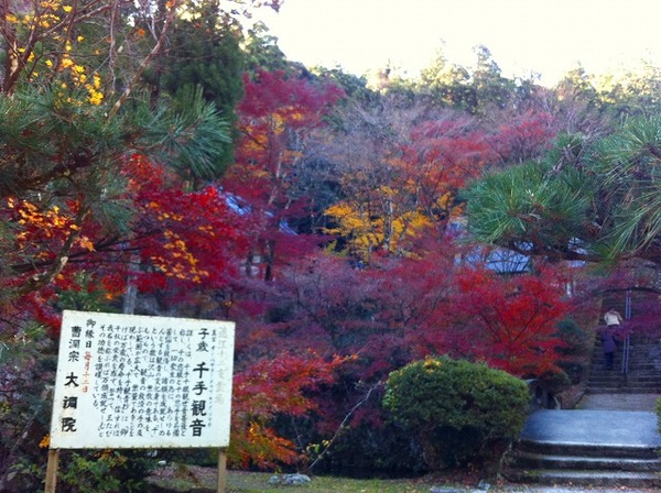 森の石松、大洞院（3）