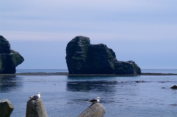 北海道一周の旅（その8）