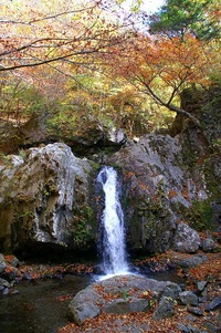 長野県佐久