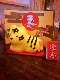 そろそろ普通の生活に。。。 2010/01/04 06:32:04