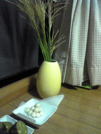 お月見 2009/10/04 06:49:26