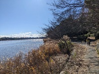 今日も佐鳴湖公園散歩