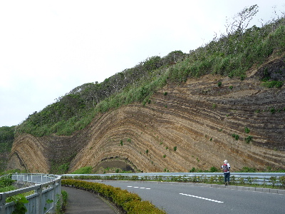 伊豆大島一周サイクリング