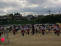 豊橋信用金庫さん運動会♪