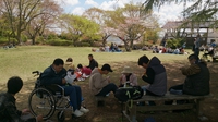 桜を見てきました！！