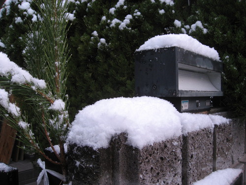 名古屋は雪
