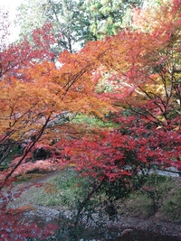 12月1日の記事 2013/12/01 11:28:51