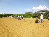 リトルファーマーズ１回目 2014/09/13 13:17:45