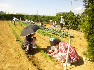 ２回目の作業