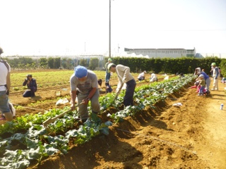 ２回目の作業