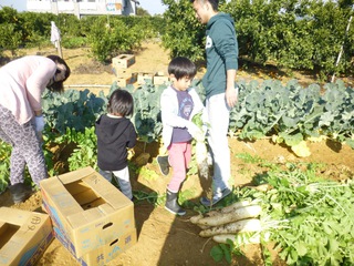１回目の収獲体験は無事終了！