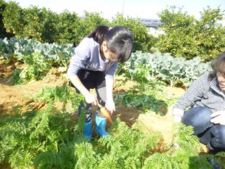 １回目の収獲体験は無事終了！